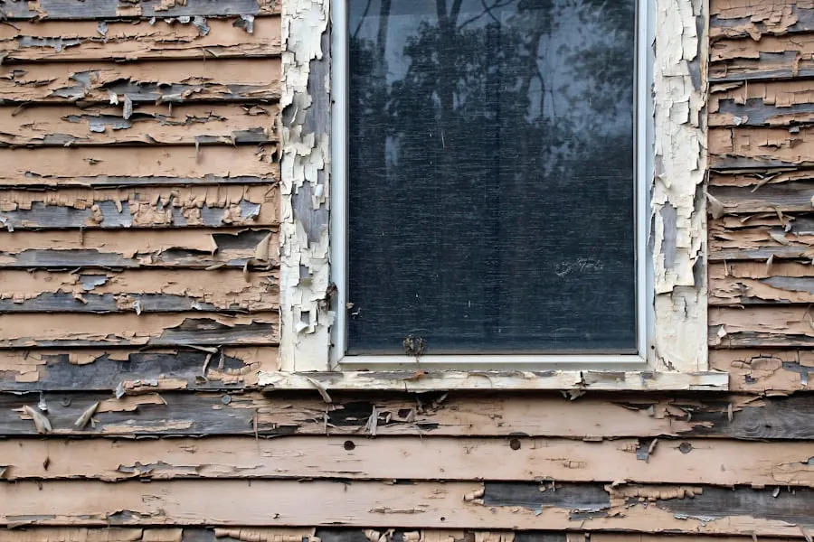 Paint peeling from decayed lap siding around a window frame
